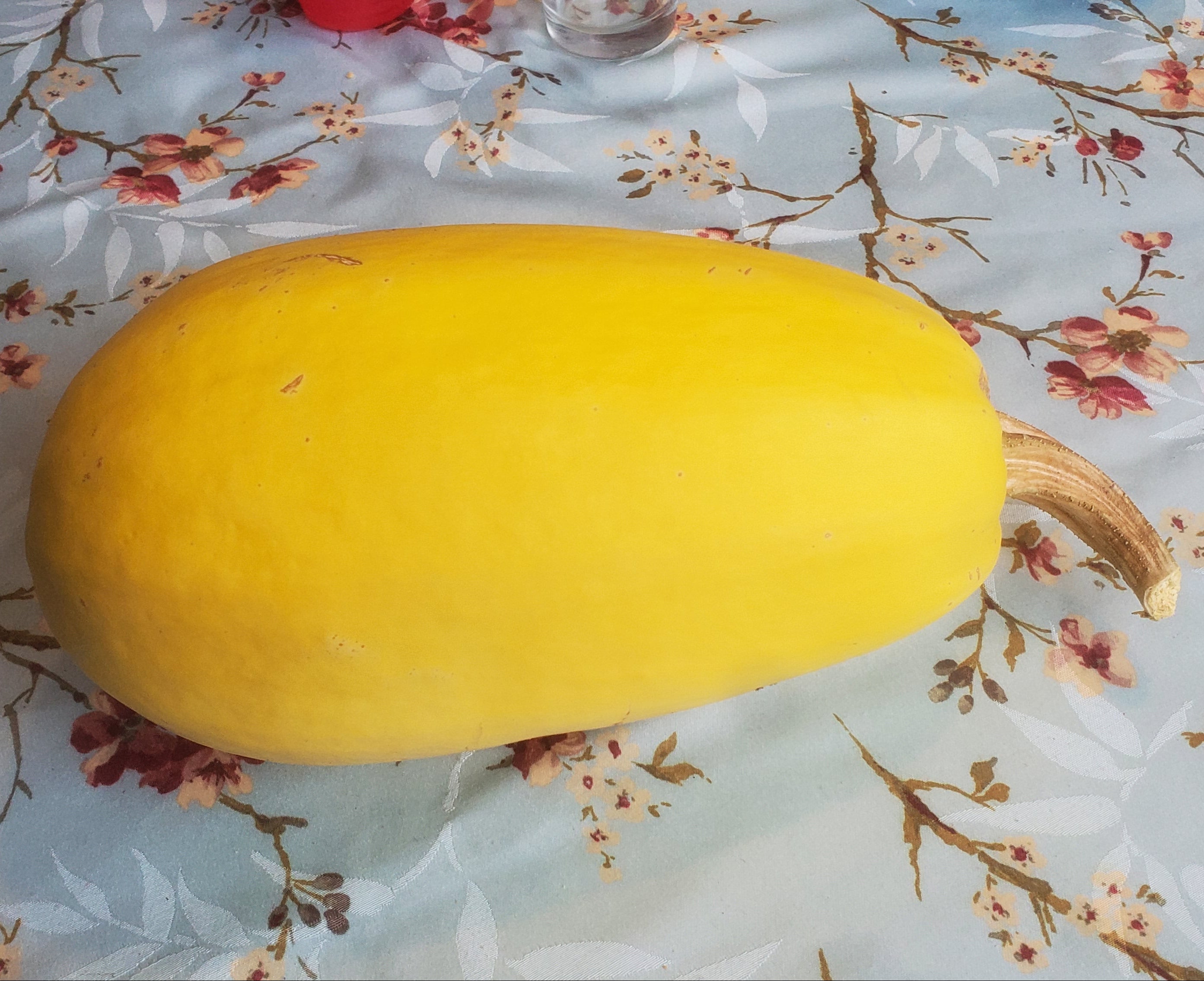 Spaghetti squash