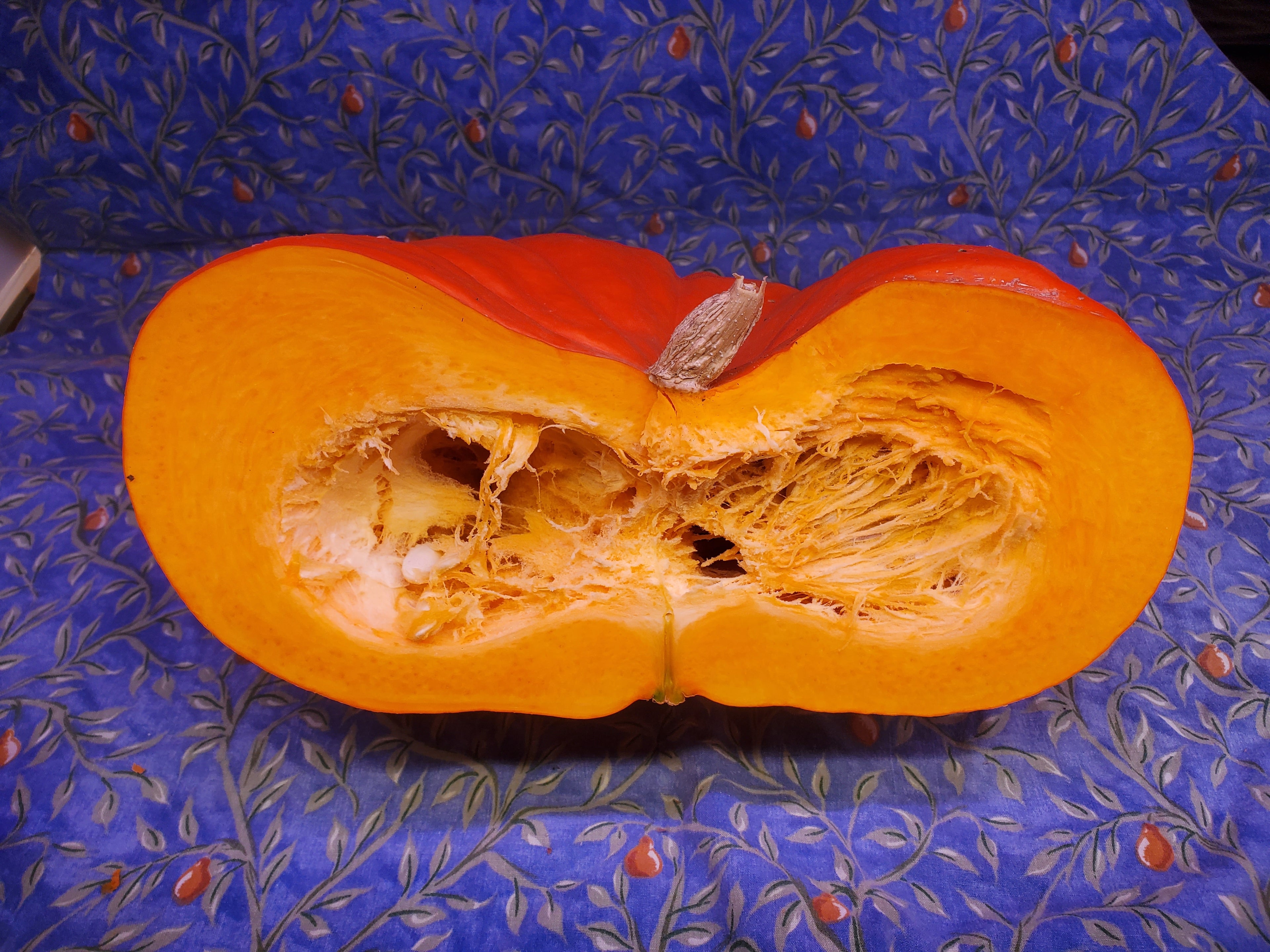 Rouge Vif d'Etampes Squash