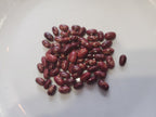 Early Warwick Dried Dwarf Bean